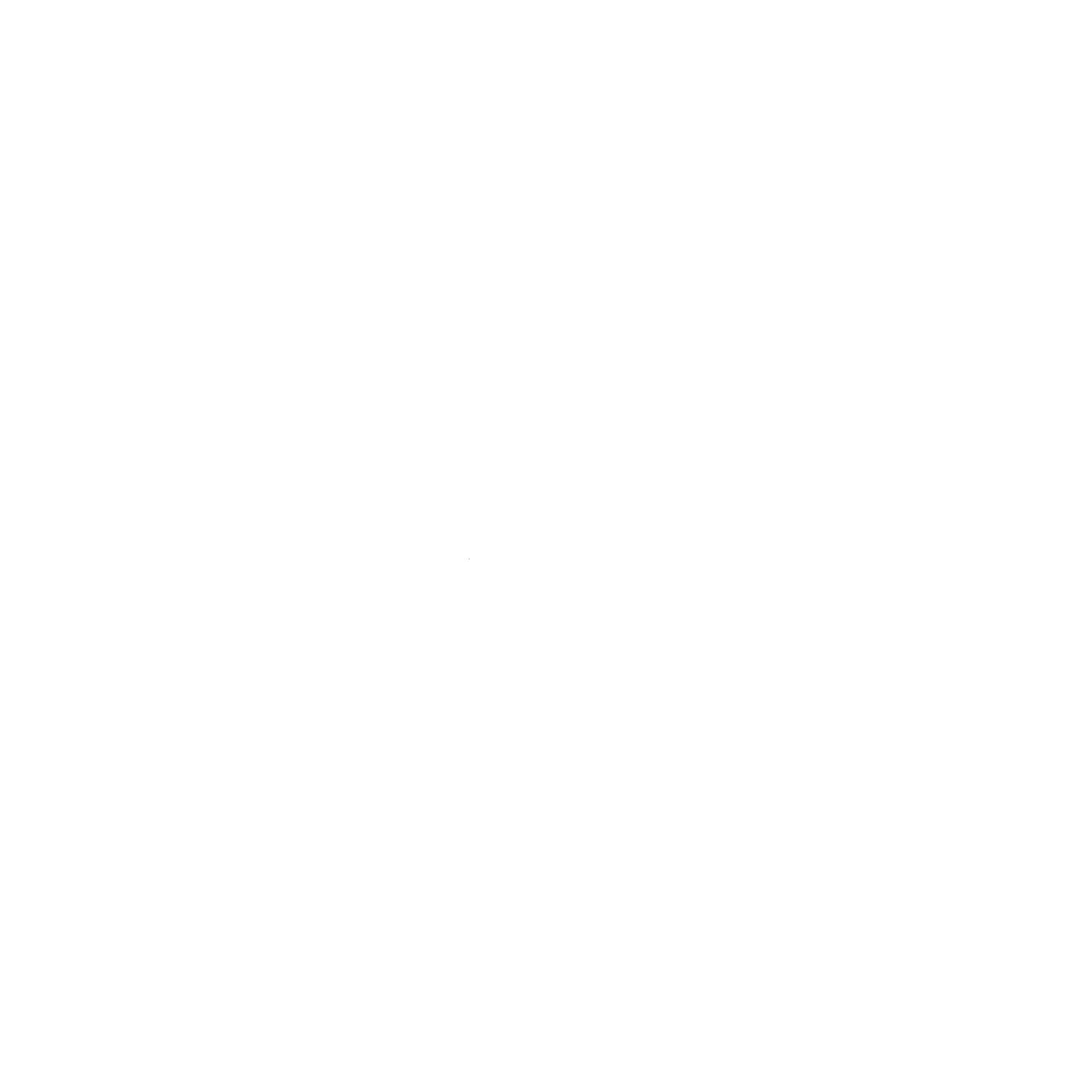 RUNASO RV Service Logo